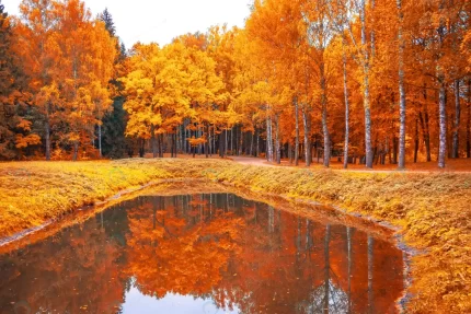 autumn landscape park with pond reflection it crc3a13bfc9 size20.14mb 5550x3700 - title:graphic home - اورچین فایل - format: - sku: - keywords: p_id:353984