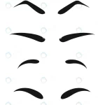 eyebrows shapes set various types eyebrows makeup rnd849 frp31015192 - title:Home - اورچین فایل - format: - sku: - keywords:وکتور,موکاپ,افکت متنی,پروژه افترافکت p_id:63922