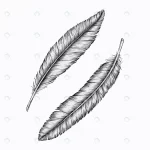 two hand drawn feathers vector crce593805f size10.44mb 1 - title:Home - اورچین فایل - format: - sku: - keywords:وکتور,موکاپ,افکت متنی,پروژه افترافکت p_id:63922