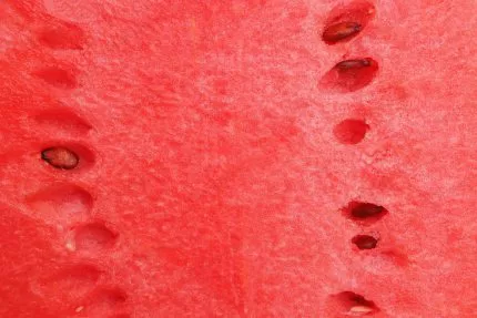 ripe red watermelon with watermelon seeds texture crcb0cfe732 size14.29mb 4608x3072 - title:Home - اورچین فایل - format: - sku: - keywords:وکتور,موکاپ,افکت متنی,پروژه افترافکت p_id:63922