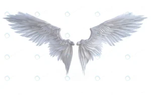 3d illustration angel wings white wing plumage is crcf73c738e size8.35mb 7680x4800 - title:Home - اورچین فایل - format: - sku: - keywords: p_id:18