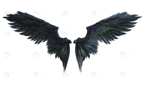 3d illustration demon wings black wing plumage is crc9729f500 size10.86mb 7680x4800 - title:Home - اورچین فایل - format: - sku: - keywords: p_id:18