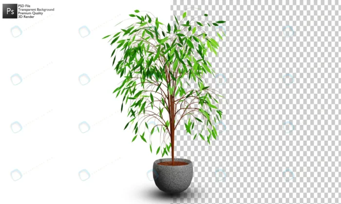 3d isolated ornamental plant design crc950b8003 size16.85mb 1 - title:رندر گیاه درخت مانند بدون بکگراند - اورچین فایل - format:PSD - فتوشاپ - sku:crc950b8003 - keywords: p_id:49866