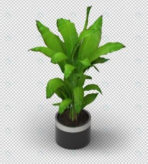 3d plant isometric view crc406ab944 size9.92mb 1 - title:Home - اورچین فایل - format: - sku: - keywords: p_id:18