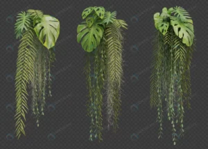 3d rendering hanging plant collection crc6216d114 size63.78mb - title:Home - اورچین فایل - format: - sku: - keywords: p_id:18