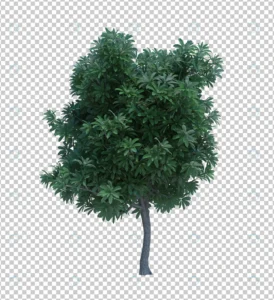 3d rendering nature object tree isolated 12 crc15f1575b size44.05mb - title:Home - اورچین فایل - format: - sku: - keywords: p_id:18