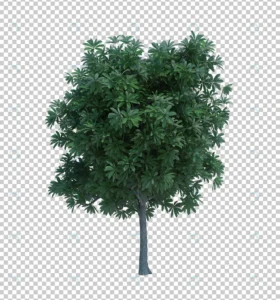 3d rendering nature object tree isolated 8 crcfbbc4317 size45.81mb - title:Home - اورچین فایل - format: - sku: - keywords: p_id:18