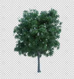 3d rendering nature object tree isolated 9 crce78a62c8 size46.85mb - title:Home - اورچین فایل - format: - sku: - keywords: p_id:18