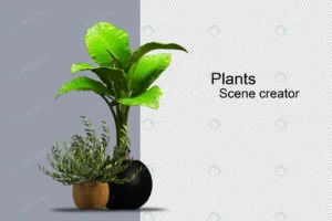 3d rendering various types ornamental arrangement crc0c142ed5 size6.81mb 1 - title:Home - اورچین فایل - format: - sku: - keywords: p_id:18