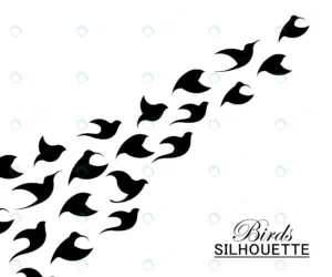 abstract bird logo template creative dove logotyp crca8dfdc05 size0.75mb 1 - title:Home - اورچین فایل - format: - sku: - keywords: p_id:18