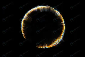 abstract blurred rainbow lens flare bokeh black b crc02dc49d6 size6.66mb 7952x5304 - title:Home - اورچین فایل - format: - sku: - keywords: p_id:18