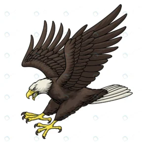 aggressive bald eagle rnd344 frp27187060 - title:Home - اورچین فایل - format: - sku: - keywords: p_id:18