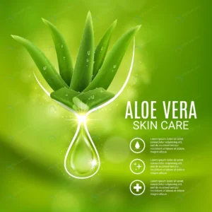 aloe vera extract skin care vector poster cosmetic rnd539 frp17065107 - title:Home - اورچین فایل - format: - sku: - keywords: p_id:18