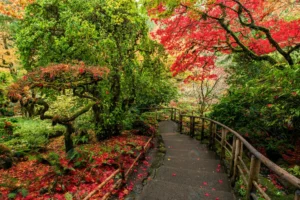 amazing shot beautiful butchart gardens brentwood crce4cdf64a size52.31mb 7360x4912 1 - title:Home - اورچین فایل - format: - sku: - keywords: p_id:18