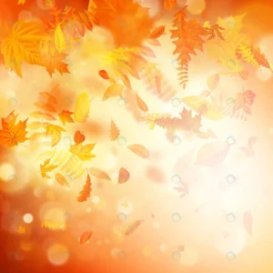 autumn background with natural leaves bright sunli rnd719 frp8016652 - title:Home - اورچین فایل - format: - sku: - keywords: p_id:18