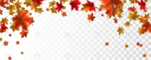 autumn falling leaves background rnd514 frp5176785 - title:Home - اورچین فایل - format: - sku: - keywords: p_id:18