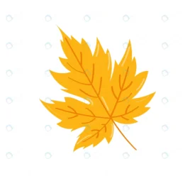 autumn leaf white background vector illustration rnd400 frp29980320 - title:Home Main - اورچین فایل - format: - sku: - keywords: p_id:18