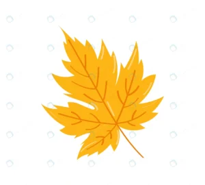 autumn leaf white background vector illustration rnd400 frp29980320 - title:Home - اورچین فایل - format: - sku: - keywords: p_id:18