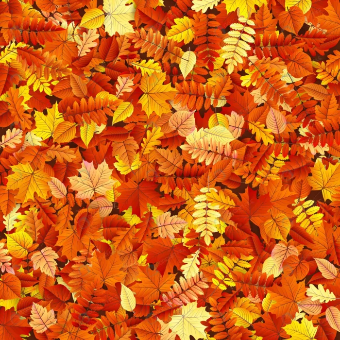 autumn leaves texture rnd282 frp8709275 - title:مجموعه برگ های رنگی پاییز - اورچین فایل - format:EPS - وکتور - sku:frp8709275 - keywords: p_id:69431