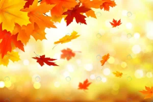 autumn realistic background theme crc1e05d959 size11.44mb - title:Home - اورچین فایل - format: - sku: - keywords: p_id:18