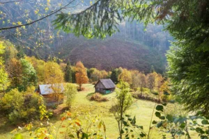 autumn scene mountain village autumn season carpa crcafac49b2 size31.49mb 5760x3840 - title:Home - اورچین فایل - format: - sku: - keywords: p_id:18