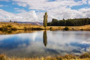 autumn season new zealand mountains crc38ce5835 size22.11mb 5760x3840 - title:Home - اورچین فایل - format: - sku: - keywords: p_id:18