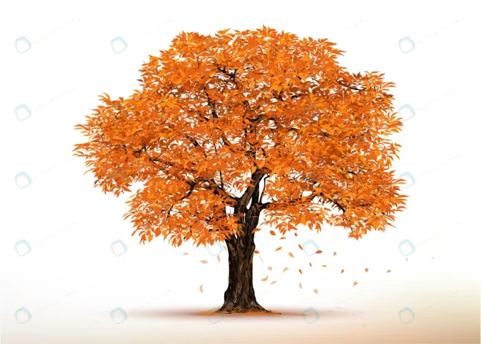 autumn tree realistic trees isolated white crc0a0a1a40 size23.54mb - title:وکتور تک درخت پاییزی - اورچین فایل - format:EPS - وکتور - sku:crc0a0a1a40 - keywords: p_id:62786
