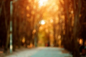 autumnal park bright colorful bokeh crc210376ad size4.69mb 4740x3164 - title:Home - اورچین فایل - format: - sku: - keywords: p_id:18