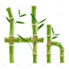 bamboo letter h with young shoots with leaves eco crcc639da14 size3.23mb - title:Home Main - اورچین فایل - format: - sku: - keywords: p_id:18