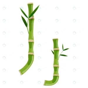 bamboo letter j with young shoots with leaves eco crcf16aca56 size1.62mb - title:Home - اورچین فایل - format: - sku: - keywords: p_id:18