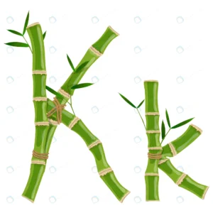 bamboo letter k with young shoots with leaves eco crceb82b105 size3.52mb - title:Home - اورچین فایل - format: - sku: - keywords: p_id:18