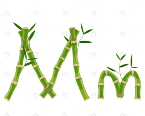 bamboo letter m with young shoots with leaves eco crc260cc610 size3.64mb - title:Home - اورچین فایل - format: - sku: - keywords: p_id:18