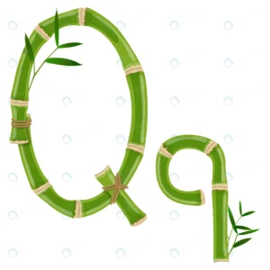 bamboo letter q with young shoots with leaves eco crcf515b61b size2.97mb - title:Home - اورچین فایل - format: - sku: - keywords: p_id:18