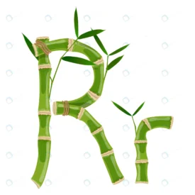 bamboo letter r with young shoots with leaves eco crc11307219 size2.79mb - title:Home Main - اورچین فایل - format: - sku: - keywords: p_id:18