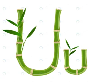 bamboo letter u with young shoots with leaves eco crccff3a66d size2.61mb - title:Home - اورچین فایل - format: - sku: - keywords: p_id:18