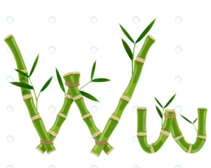 bamboo letter w with young shoots with leaves eco crc998c3356 size3.92mb - title:Home - اورچین فایل - format: - sku: - keywords: p_id:18