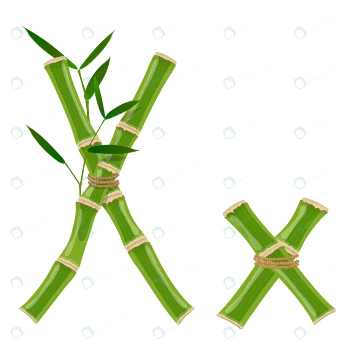 bamboo letter x with young shoots with leaves eco crc67a3c55f size2.74mb - title:وکتور حروف انگلیسی X طرح بامبو - اورچین فایل - format:EPS - وکتور - sku:crc67a3c55f - keywords: p_id:79313