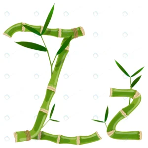 bamboo letter z with young shoots with leaves eco crccd109fe2 size2.88mb - title:Home - اورچین فایل - format: - sku: - keywords: p_id:18