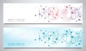 banners headers site with dna strand molecular st crc6efa890c size4.28mb - title:Home Main - اورچین فایل - format: - sku: - keywords: p_id:18