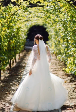 beautiful bride white dress posing 2 crc21e1bf8e size11.62mb 3706x5416 1 - title:Home - اورچین فایل - format: - sku: - keywords: p_id:18