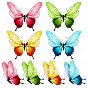 beautiful butterfly collection four colors crcfe9e917d size20.95mb - title:Home - اورچین فایل - format: - sku: - keywords: p_id:18