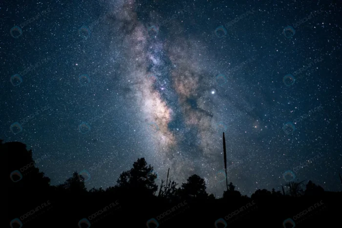 beautiful low angle shot forest blue starry night crc4dd37af7 size18.49mb 6000x4000 1 - title:استوک آسمان پر ستاره - اورچین فایل - format:JPG - استوک - sku:crc4dd37af7 - keywords: p_id:53545
