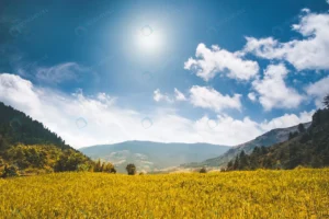 beautiful mountain landscape summer day yellow me crce76e0318 size5.62mb 3100x2067 - title:Home - اورچین فایل - format: - sku: - keywords: p_id:18