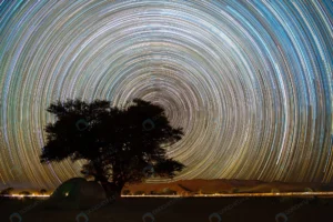 beautiful night landscape star trails quiver tree crc2a0038aa size37.70mb 6000x4000 - title:Home - اورچین فایل - format: - sku: - keywords: p_id:18