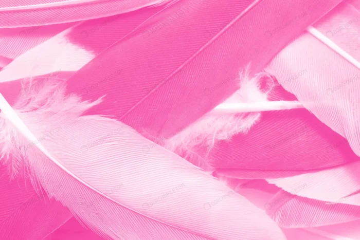 beautiful pink magenta feather texture pattern ba crc730a06e6 - title:تصویر پر پرنده صورتی - اورچین فایل - format:JPG - استوک - sku:crc730a06e6 - keywords:تصویر پر پرنده صورتی, عکس استوک, بکگراند, پر پرنده, پس زمینه, فایل تکی p_id:96309