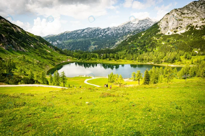beautiful scenery green valley near alp mountains crc5395864f - title:طبیعت کوهستانی نزدیک آلپ - اورچین فایل - format:JPG - استوک - sku:crc5395864f - keywords: p_id:51203