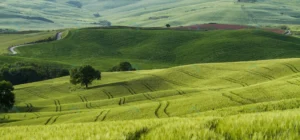 beautiful shot green fields with narrow roads mid crc5d387086 size7.13mb 5184x2421 1 - title:Home - اورچین فایل - format: - sku: - keywords: p_id:18