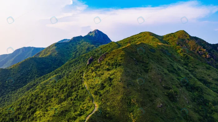 beautiful shot ma shan country park hong kong crc914087f8 - title:عکس استوک کوهستان جنگلی - اورچین فایل - format:JPG - استوک - sku:crc914087f8 - keywords:عکس استوک کوهستان جنگلی, عکس استوک, تصویر استوک رایگان, جنگل, دانلود رایگان, طبیعت, فایل تکی p_id:51304