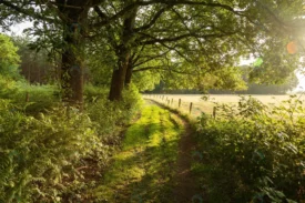 beautiful shot sunrise country road netherlands crcf661d88d size16.99mb 5616x3744 - title:Home Main - اورچین فایل - format: - sku: - keywords: p_id:18