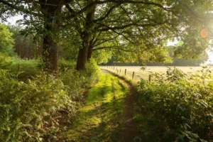 beautiful shot sunrise country road netherlands crcf661d88d size16.99mb 5616x3744 - title:Home - اورچین فایل - format: - sku: - keywords: p_id:18